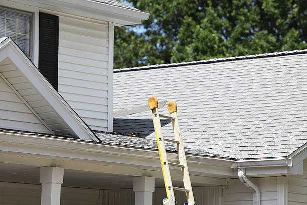 Best Construction Debris Removal  in Lewisport, KY
